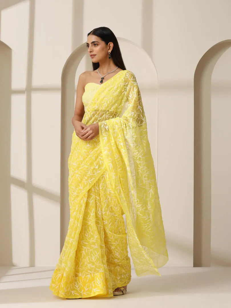 Georgette Chikankari Hand Embroidered Tepchi Saree